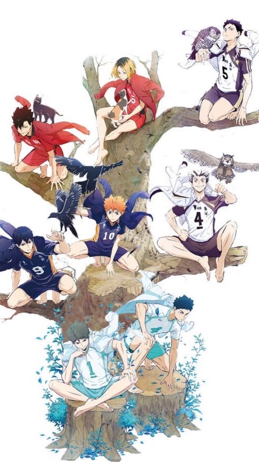 ハイキューのつどい！🐦‍⬛🧡