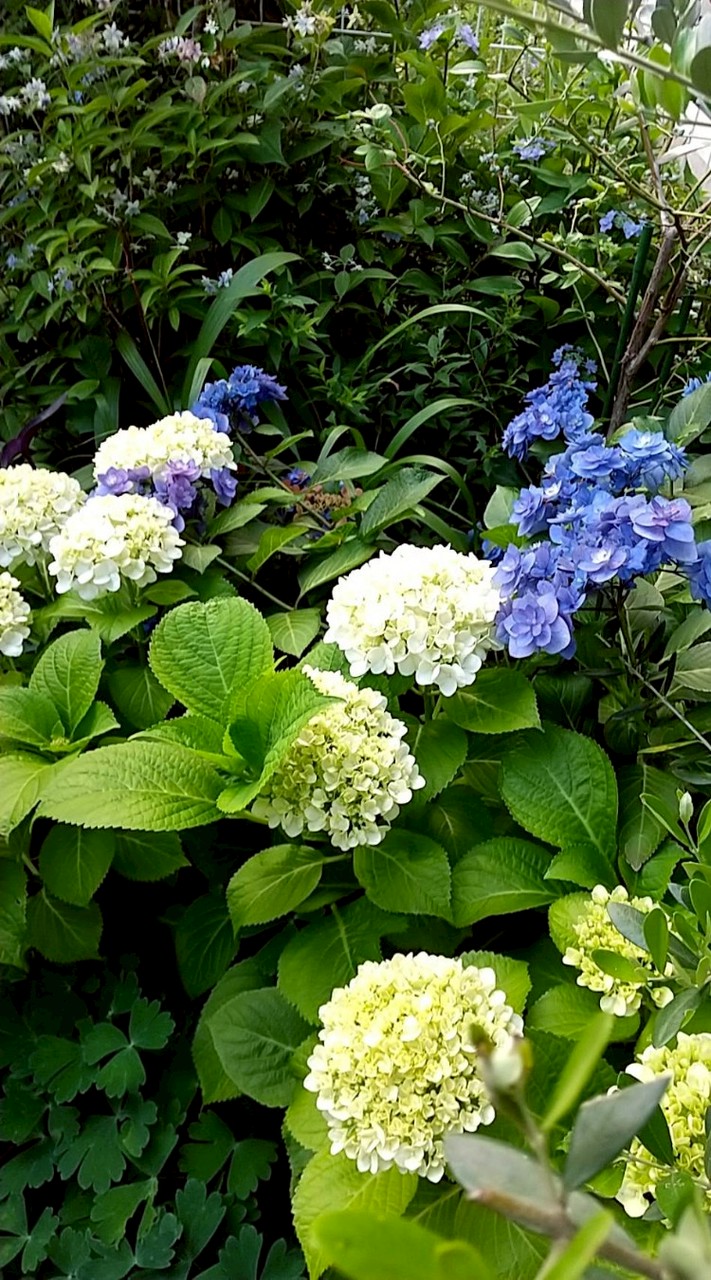 やさしい雑談🌸😊🎵