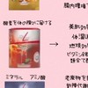 【1ヶ月で結果を出す】芸能人アスリートモデル御用達神酵素で根本体質改善🔥🌱🔥