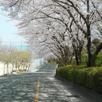 嘉穂高校楽友会　定期演奏会
