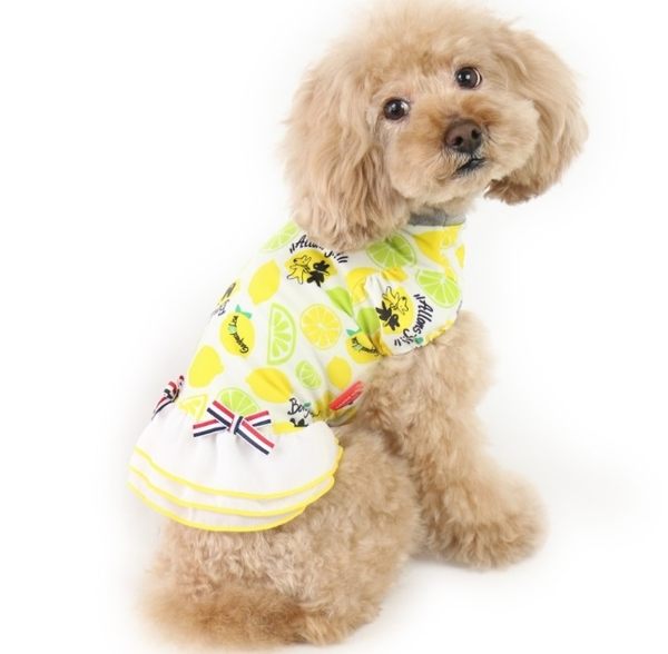 【PET PARADISE 寵物精品】Gaspard et Lisa 檸檬涼感洋裝 (SS/DS) 接觸冷感