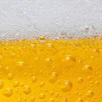 一人飲みの会（京都）