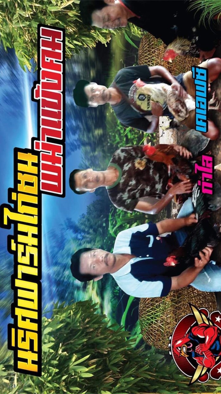 ตลาดไก่ชนพม่าแข้งคม