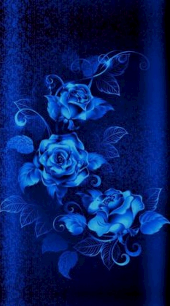 鯉は鷹に、鷹は鯉に依存した。