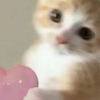 คุยเล่นกันมาๆเร็วๆฮิ้วววว
