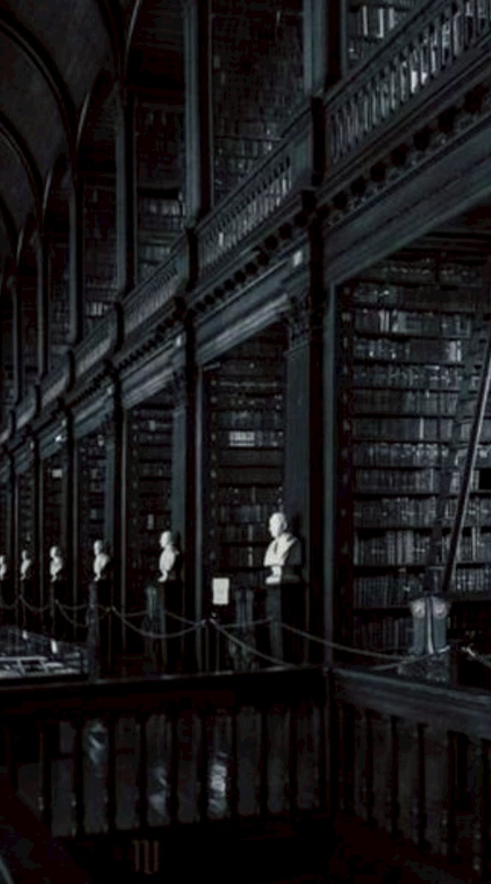 The Forsaken Endless Labyrinth Library | RP