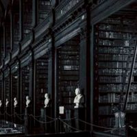 The Forsaken Endless Labyrinth Library | RP