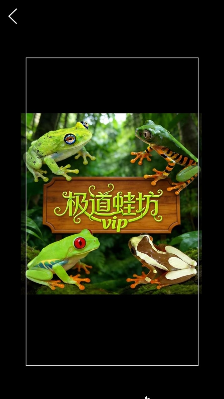 極道VIP🐸福利競標群