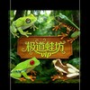 極道VIP🐸福利競標群