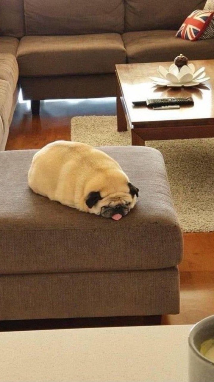 ひぷゆる　
