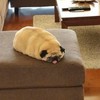 ひぷゆる　