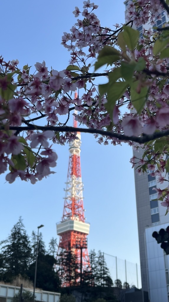 東京語校交流🗼