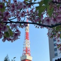 東京語校交流🗼