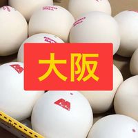 ソフテニ【超・初心者】