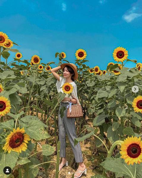 圖片來源 / IG @elena_0921