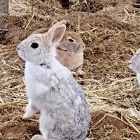 雑談&交流会in山口県(下関、小野田、宇部)北九州