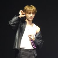 小鹿亂撞到門