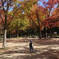 オーガニックライフ・子育て👶