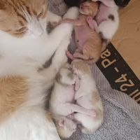 CatตึกB