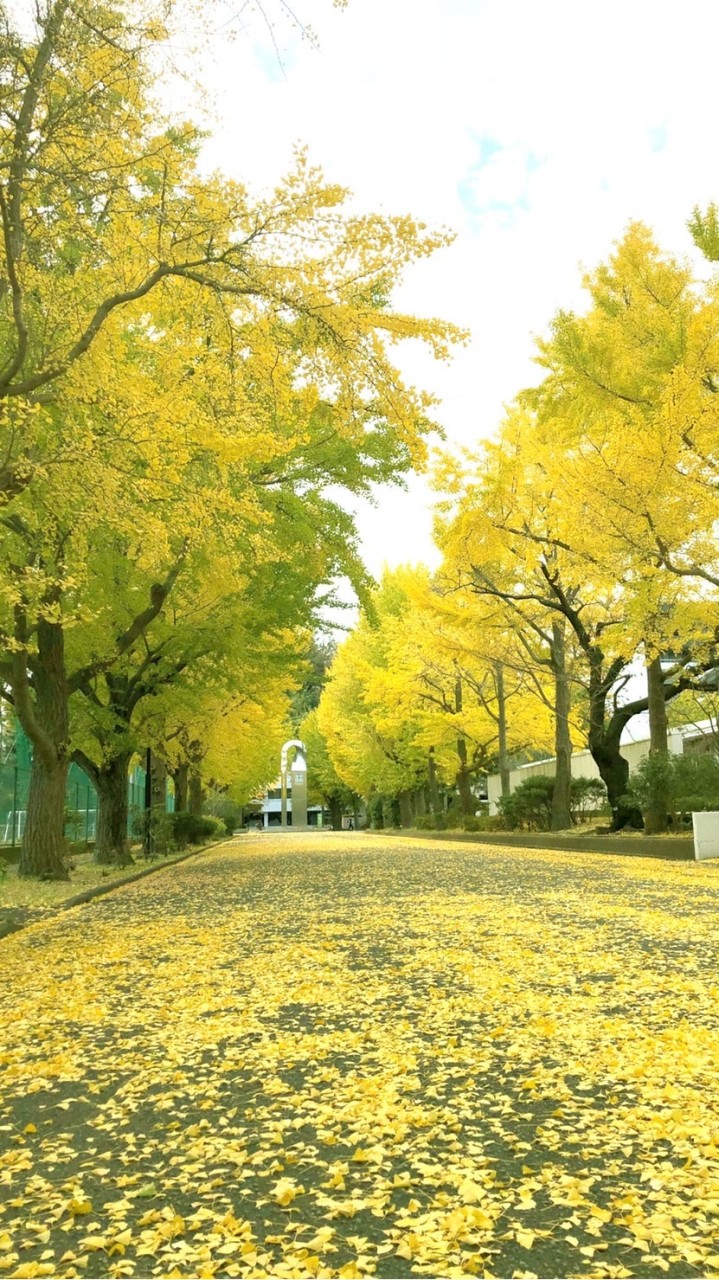 横浜市立大学　国際教養・商のオープンチャット