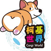 🐶柯基世界「佛系經營」🐾