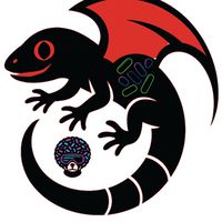 🦎阿宮養的(守宮競標、全方位米知毛研旗下益生菌)