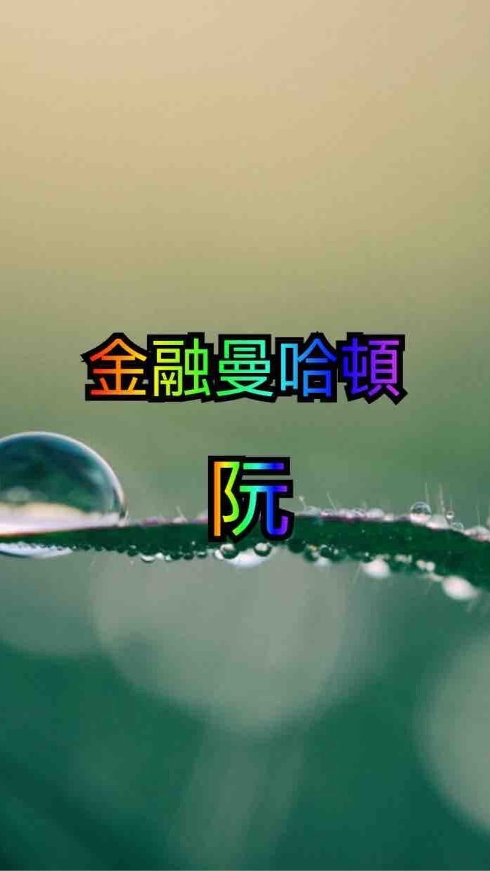 金融曼哈頓-阮 合資團