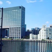 清澄白河チャット