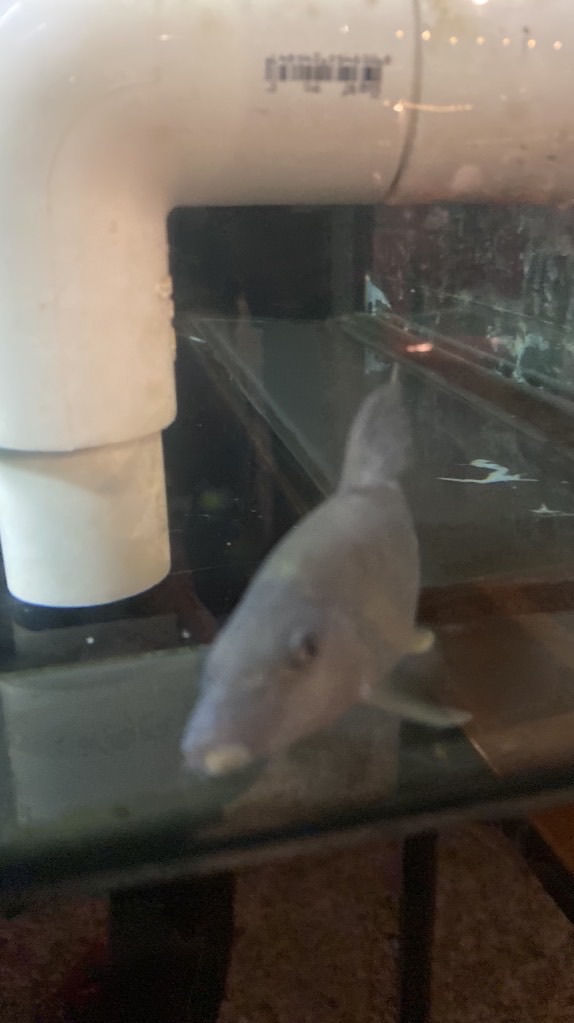 น้องรหัสน้องปี1 ห้อง 2