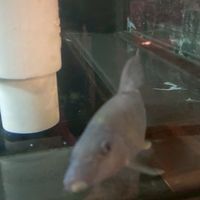 น้องรหัสน้องปี1 ห้อง 2
