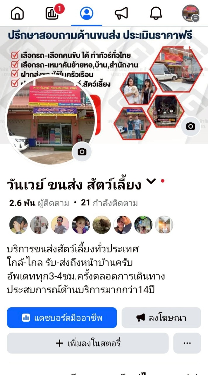 วันเวย์ ขนส่ง สัตว์เลี้ยง