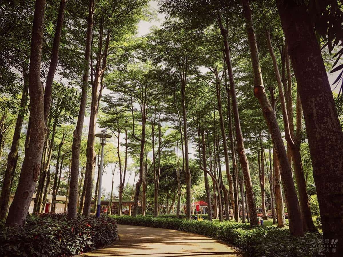 連新北人都不知道！樹林８處免費景點：巨型飛碟公園、愛心池塘、繡球花祕境