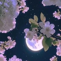 プリ小説やってる人の集い