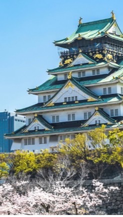 1/18-1/25 一起趣JPN