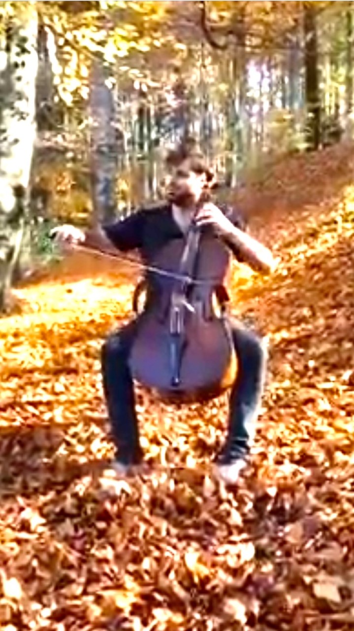 Art Music Land