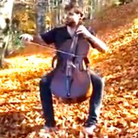 Art Music Land