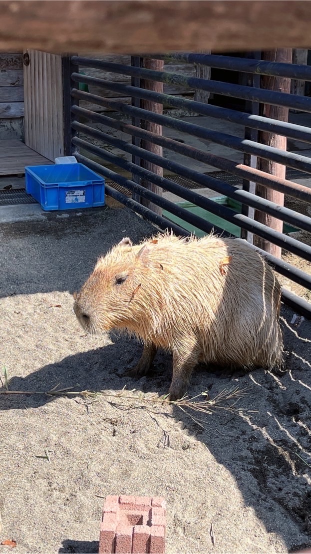 千葉県で友達作ろう！