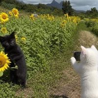 雑談ネッ友リア充