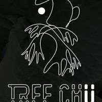 TREECHU 鬍鬚 植株交流分享