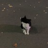 【学生限定】雑談・歌・アニメとか好きな人集まって話そー