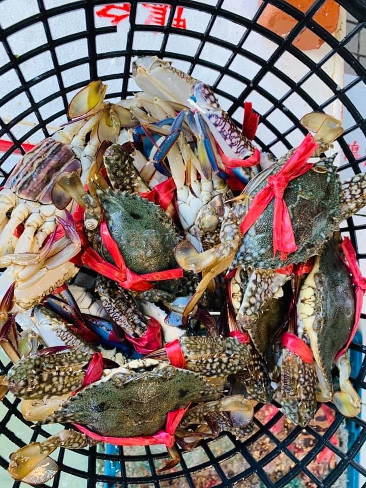 圖片提供/旗后活海產-LINE熱點用戶