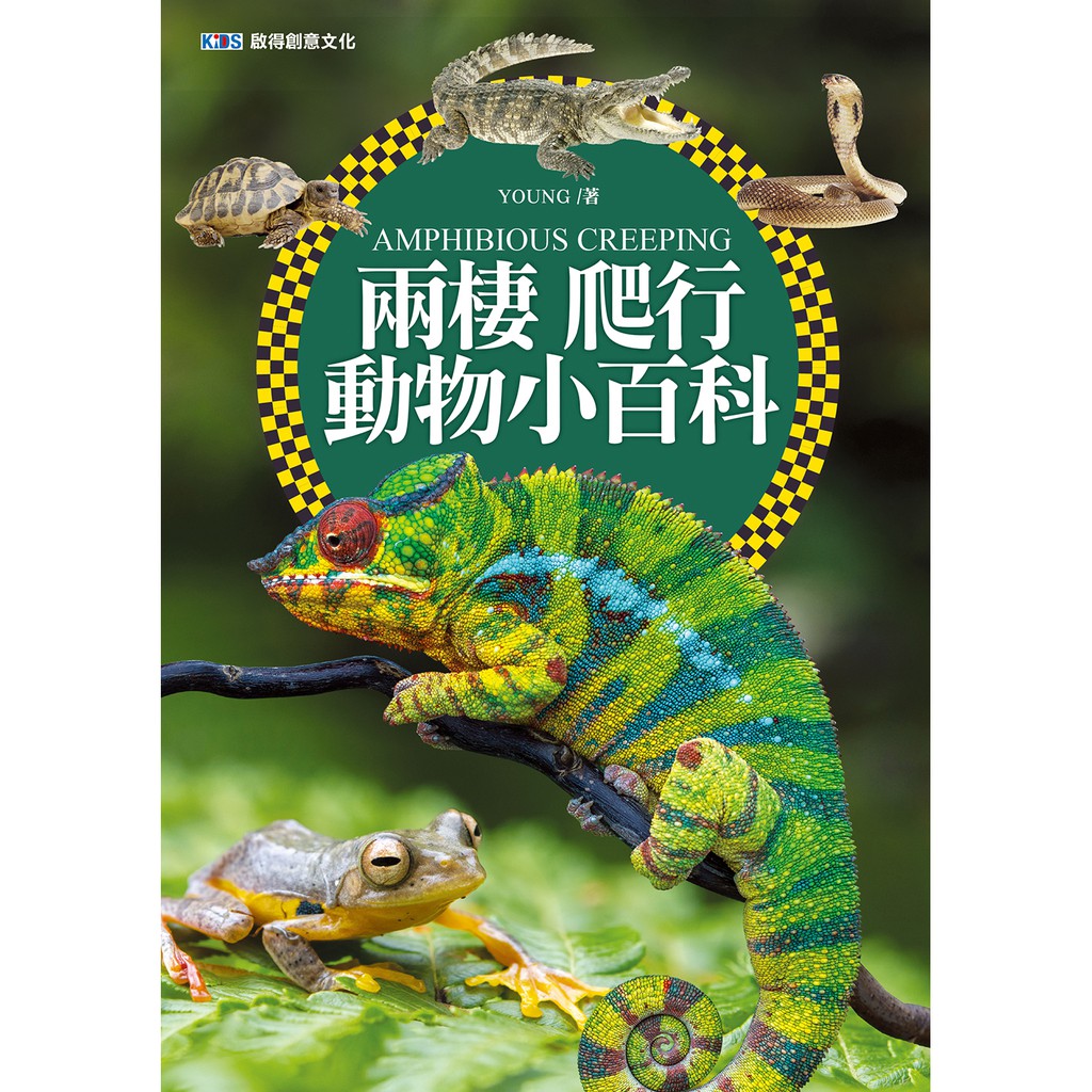 【本書簡介】 爬行類動物是由石炭紀末期的古代兩棲類進化而來，牠們都不是恆溫動物，是真正適應陸棲生活的變溫脊椎動物。 爬行類動物最盛時期，可說是在中生代，那時很多類群發展成龐然大物，不僅橫行於大地，還佔