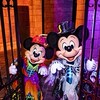 2026年Dハロ参加者の集い