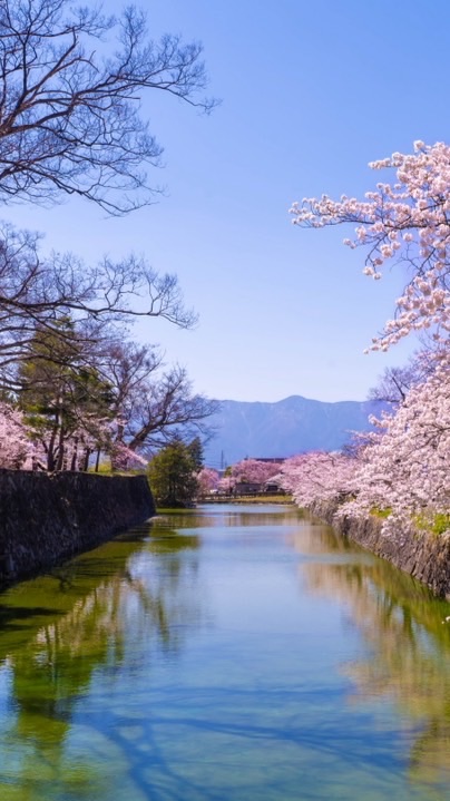 まつもと日和