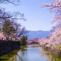 まつもと日和