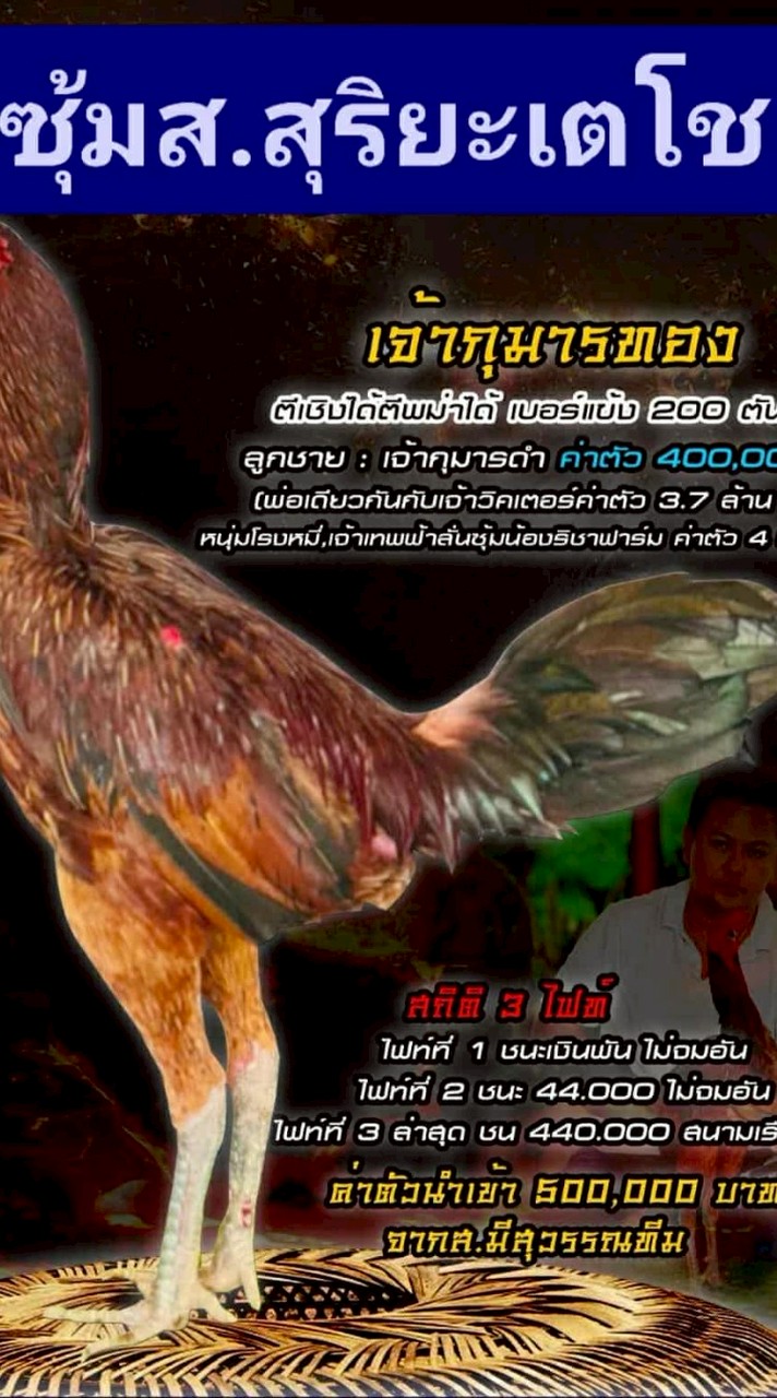 ซุ้ม ส.สุริยะเตโช