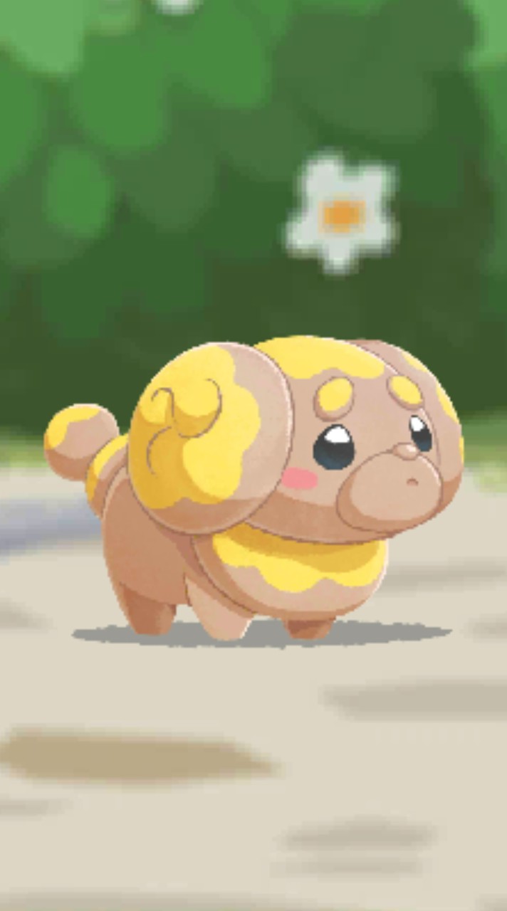 ポケまぜ　みんなで楽しもう！