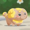 ポケまぜ　みんなで楽しもう！