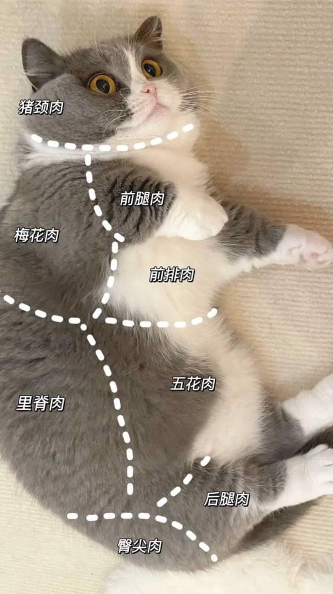 幹活啦！