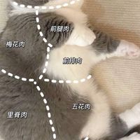 幹活啦！
